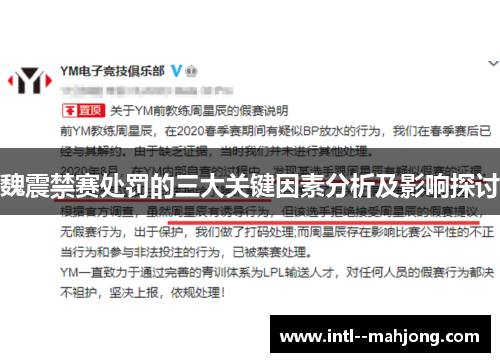 魏震禁赛处罚的三大关键因素分析及影响探讨 魏震禁赛处罚的三大关键因素分析及影响探讨